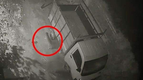 রাত থেকেই ঘুরে বেড়াচ্ছে বাঘ! আতঙ্কে কোন্নগরবাসী