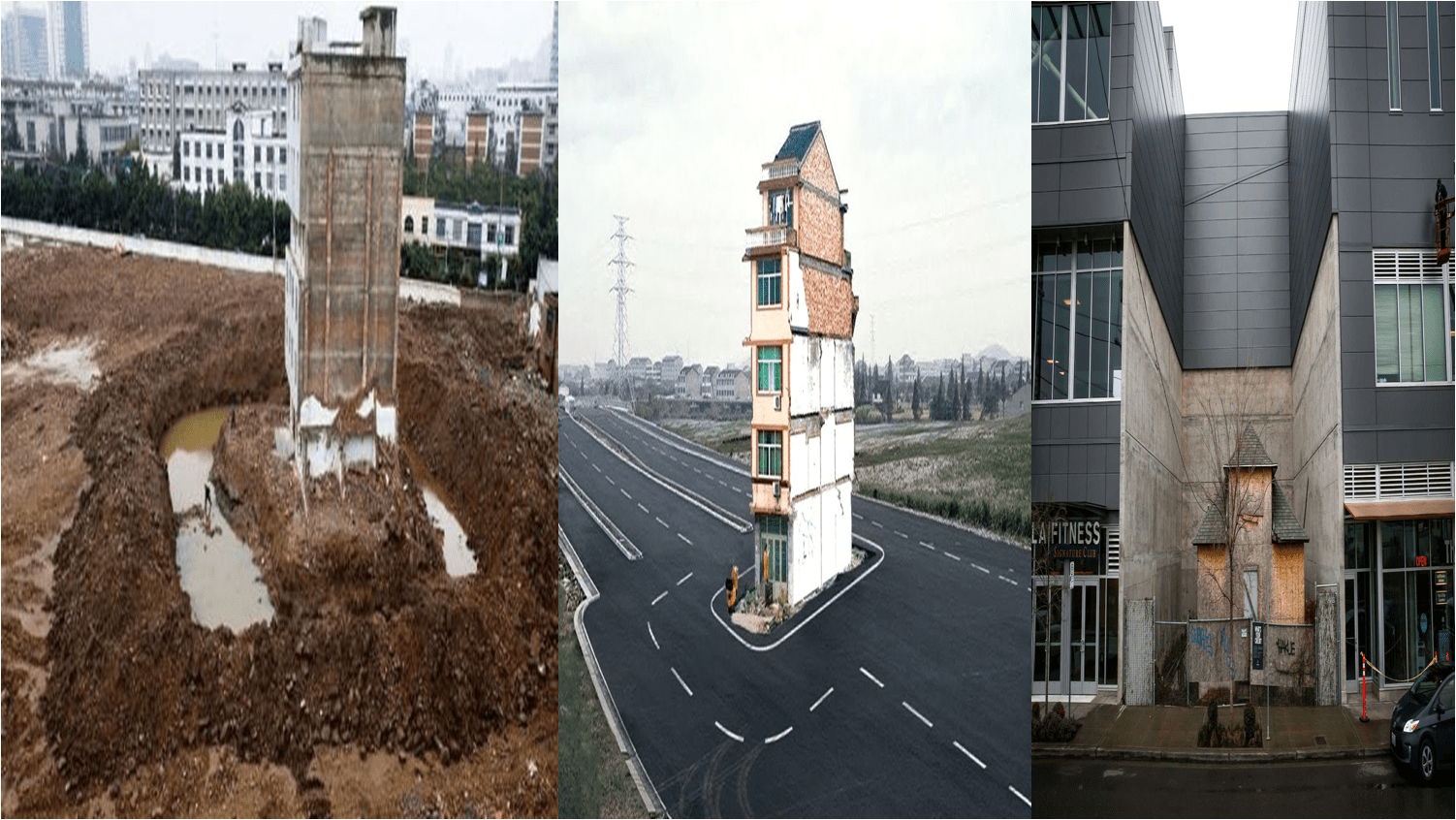 বাড়ির জেদে অনন্য নজির