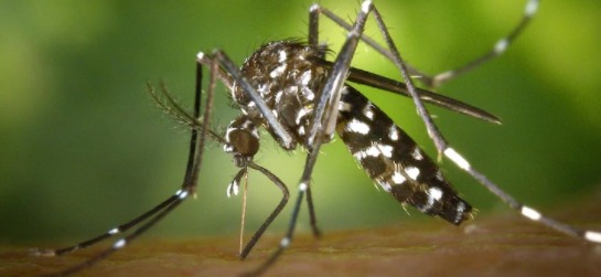 11 States get Alert :১১ টি রাজ্যকে সতর্ক থাকার নির্দেশ