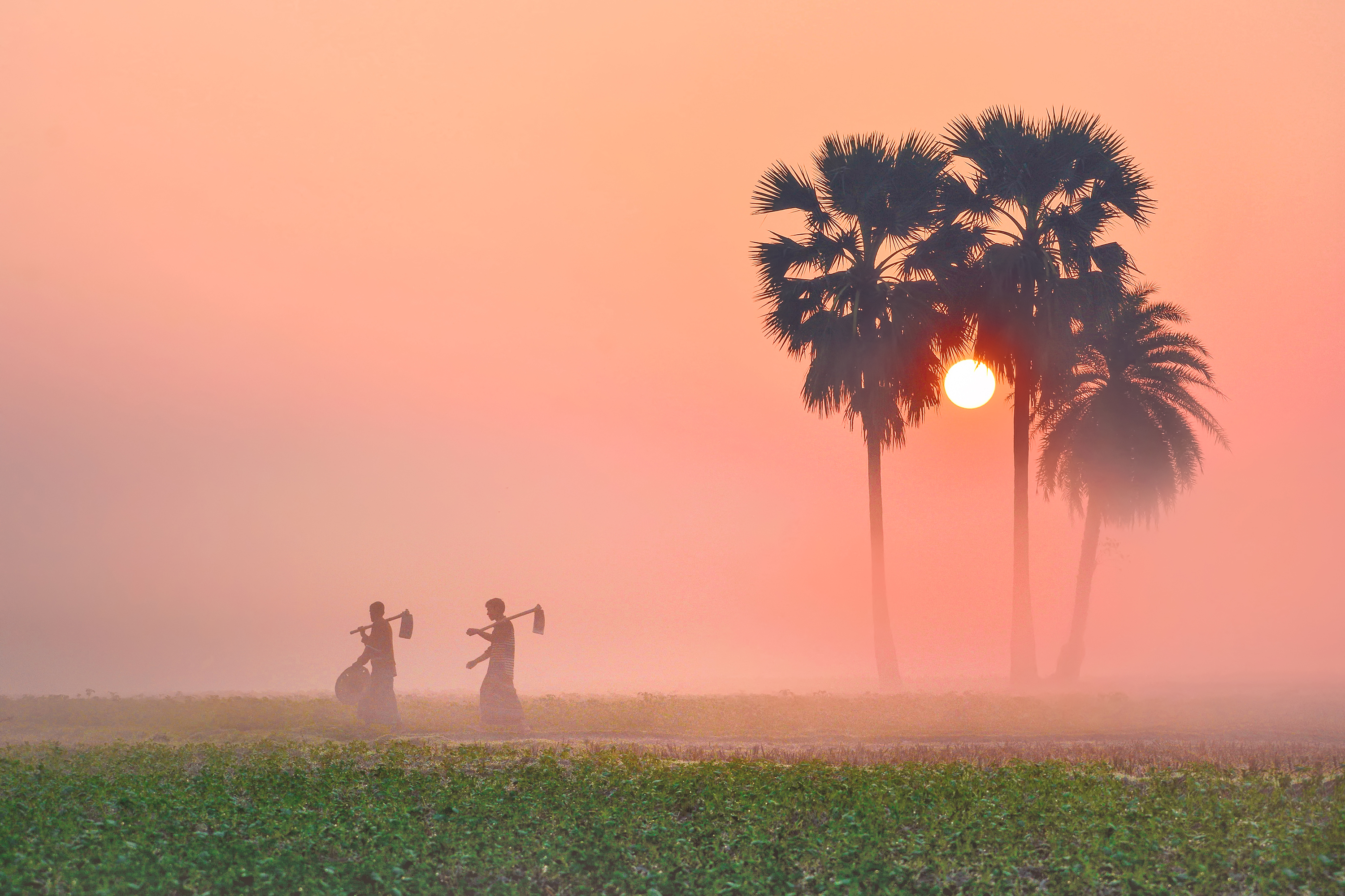 রাজ্যজুড়ে শীতের আমেজে দোসর উত্তুরে হাওয়া