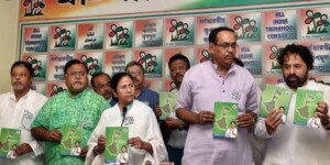 তৃণমূলের ইস্তাহার, ইস্তাহারে প্রাধান্য পরিবেশ ও জল জমার সমস্যা