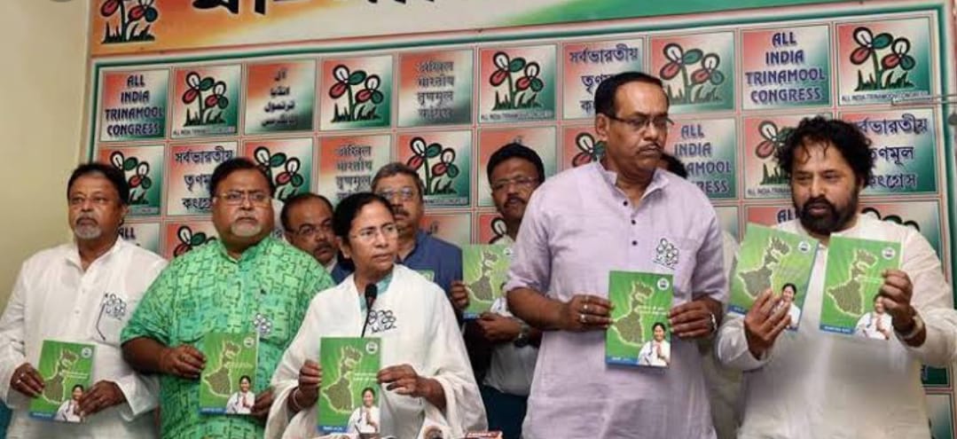 তৃণমূলের ইস্তাহার, ইস্তাহারে প্রাধান্য পরিবেশ ও জল জমার সমস্যা
