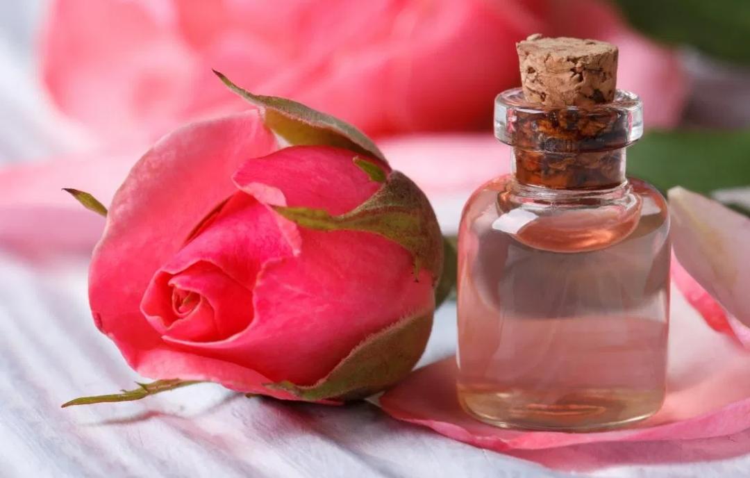 Rose Water : ত্বকের যত্নে গোলাপ জল