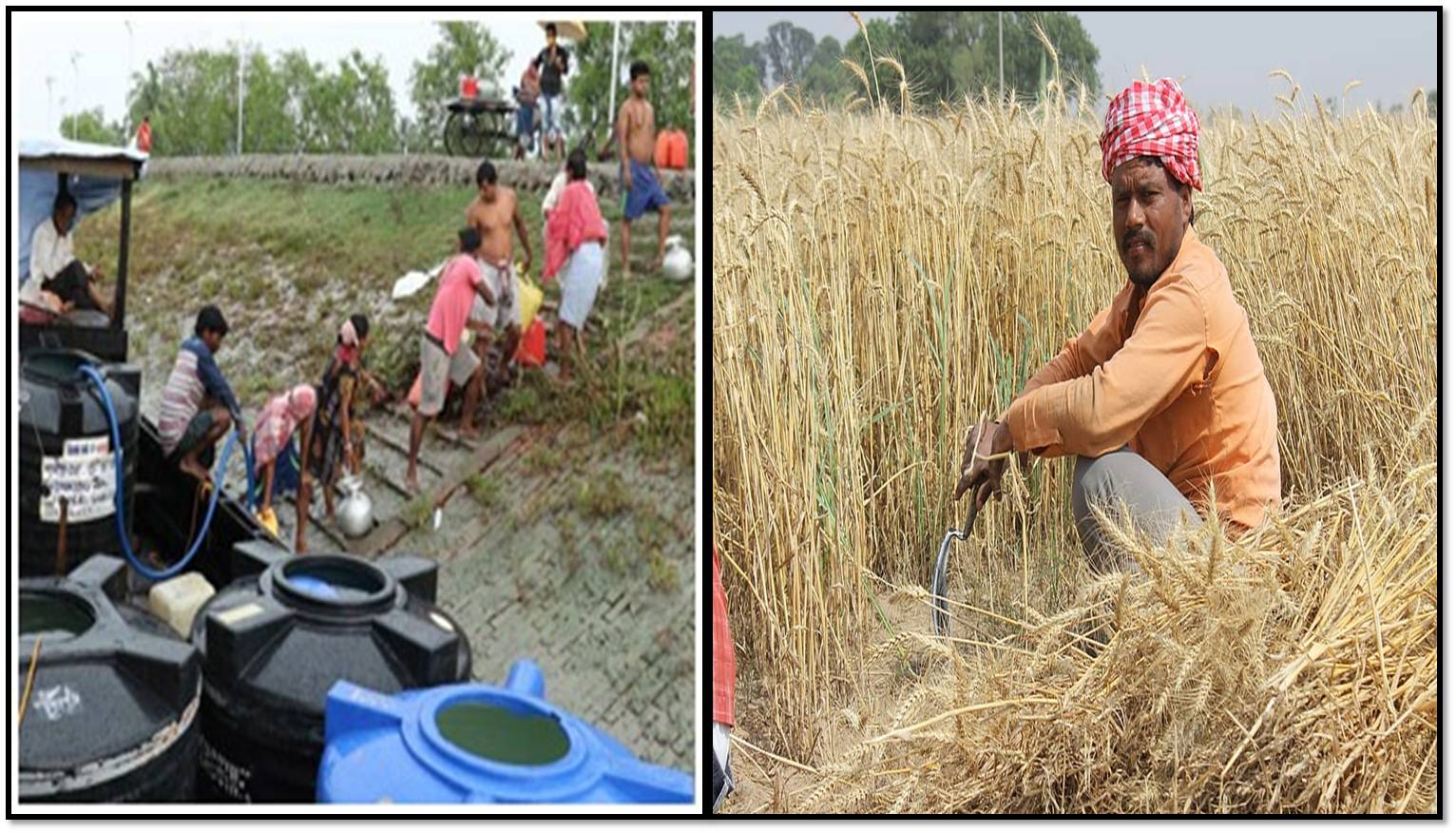 তীব্র দাবদাহ। আট দফা পরামর্শ কৃষি দফতর ও জনস্বাস্থ্য কারিগরি দফতরের