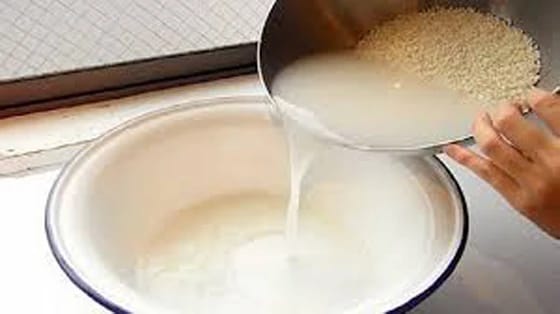 ভাতের ফ্যান ঝড়িয়ে দেন? জানেন কি থাকে এই ফ্যানে?