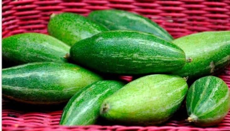 গ্রীষ্মকালীন সবজি পটল অনেকেরই অপছন্দের তালিকায় থাকলেও পুষ্টিগুণ জানলে অবাক হতে হবে