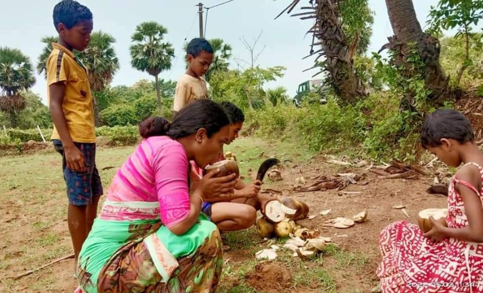 গাঁয়ের রাস্তায় গাড়ি থামিয়ে গাছ থেকে তালশাঁস পেড়ে খেলেন রাজ্যের মন্ত্রী। ফিরে গেলেন শৈশবে।