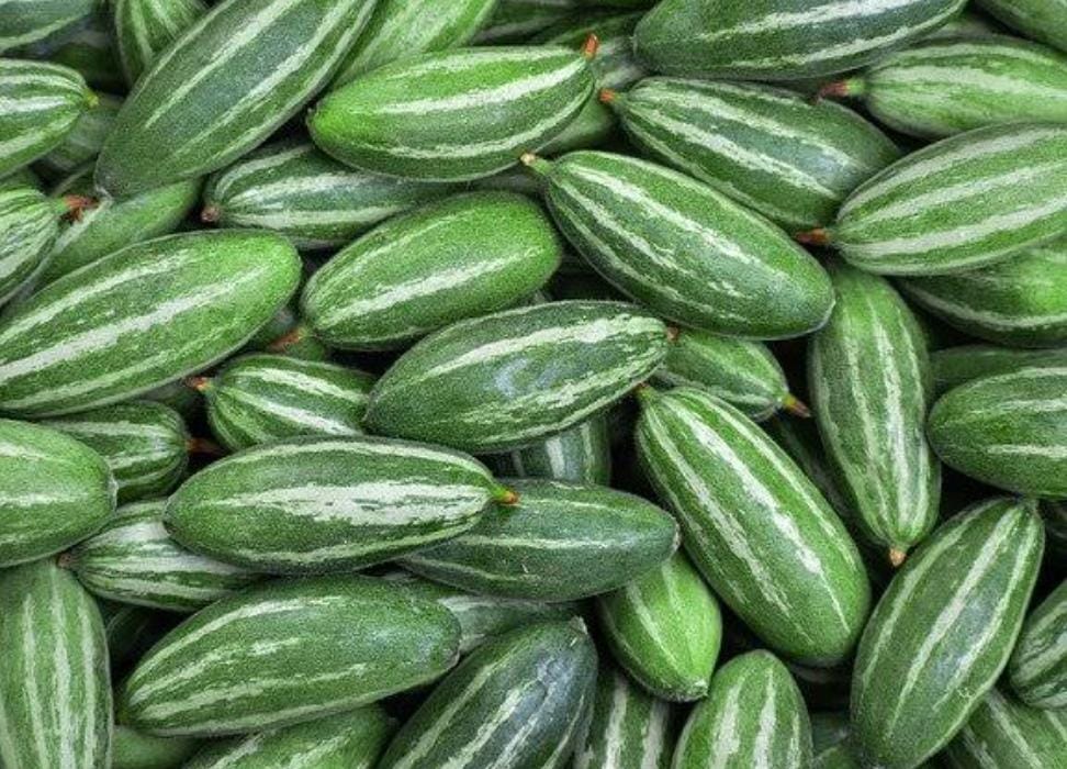 কোষ্ঠকাঠিন্যের সমস্যা কমাতে পটল খান