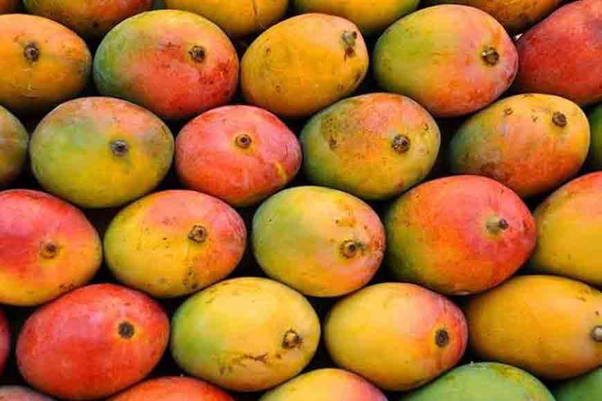 হিমসাগর, গোলাপখাস, কোহিতুর…, নেতাজি ইন্ডোর স্টেডিয়ামে ৩ দিন ব্যাপী আম উৎসব