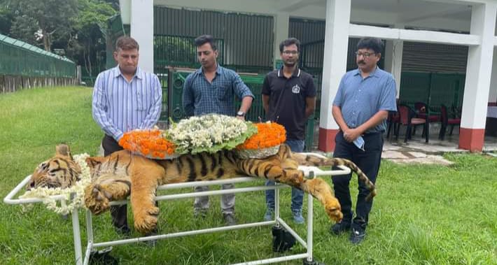 রেকর্ড গড়ে মারা গেল “রাজা”। শোকপ্রকাশ বনমন্ত্রী, জেলাশাসকের।