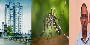 পুজোর ছুটি বাতিল। ডেঙ্গি মোকাবিলায় কড়া পদক্ষেপ নবান্নের।
