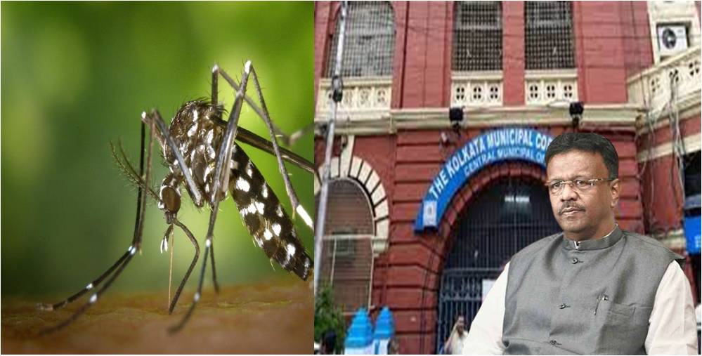 “আমার বাড়িতে ডেঙ্গির লার্ভা থাকবে আর আমি পৌরসভাকে গালি দেবো, এটা হতে পারে না।” হুঁশিয়ারি মেয়রের