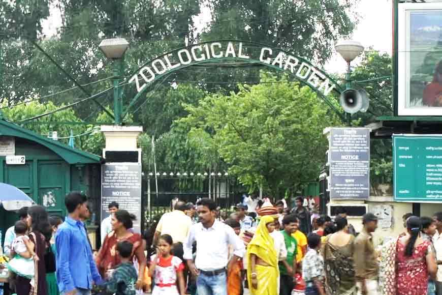শীতের শুরুতেই ভীড় চিড়িয়াখানায়