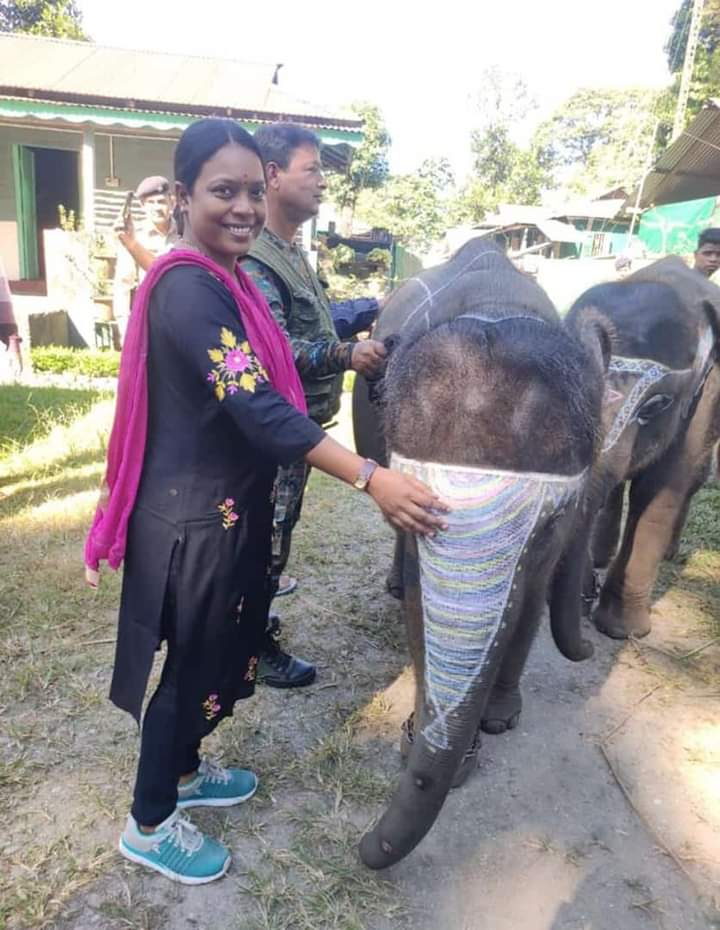 “দলছুট তিন হস্তিশাবক যেন নিজের ছেলেমেয়ে।” নামকরণ করে বললেন বিরবাহা হাঁসদা।