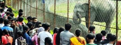 Alipur Zoo Introduced QR Code Entry : ‘UPI’ সিস্টেম এবং ‘online booking’ – এর ওপর জোর দেওয়া হচ্ছে,- জানালেন আলিপুর চিড়িয়াখানার ডিরেক্টর