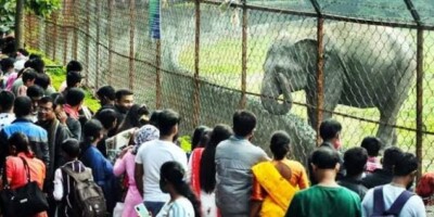 Alipur Zoo Introduced QR Code Entry : ‘UPI’ সিস্টেম এবং ‘online booking’ – এর ওপর জোর দেওয়া হচ্ছে,- জানালেন আলিপুর চিড়িয়াখানার ডিরেক্টর