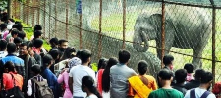 Alipur Zoo Introduced QR Code Entry : ‘UPI’ সিস্টেম এবং ‘online booking’ – এর ওপর জোর দেওয়া হচ্ছে,- জানালেন আলিপুর চিড়িয়াখানার ডিরেক্টর