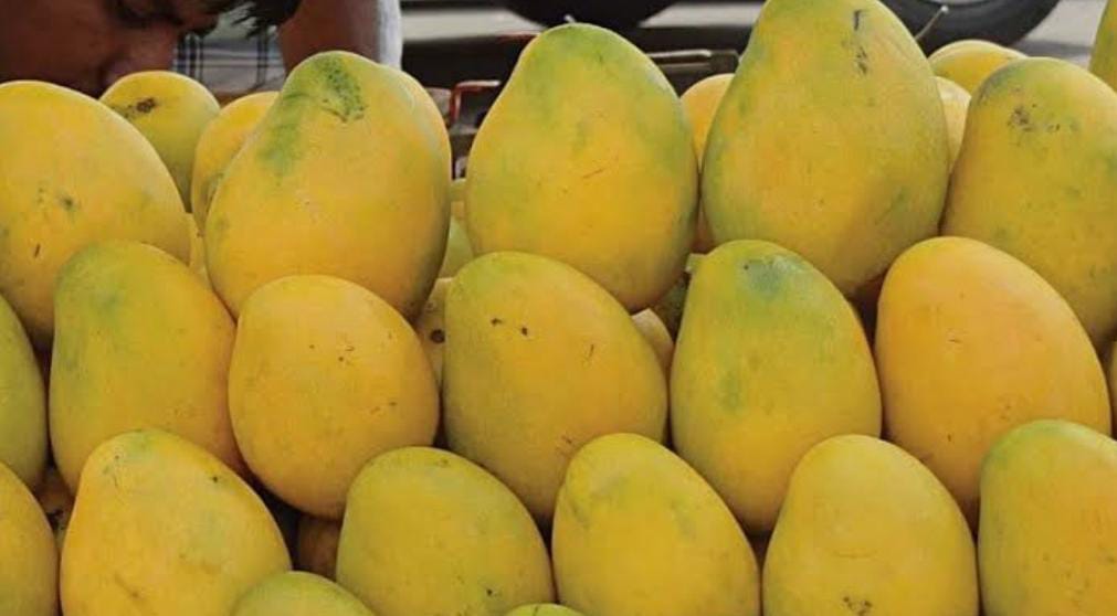 কোন নিয়ম মানলে ডায়াবেটিস রোগীরা নির্ভয়ে আম খেতে পারবেন?