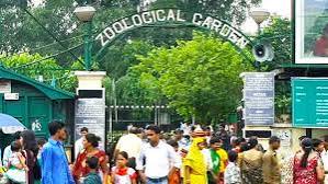 তীব্র গরমে আলিপুরে লস্যি খাচ্ছে শিম্পাঞ্জি, ফ্যানের হাওয়ায় জিরোচ্ছে বাঘ