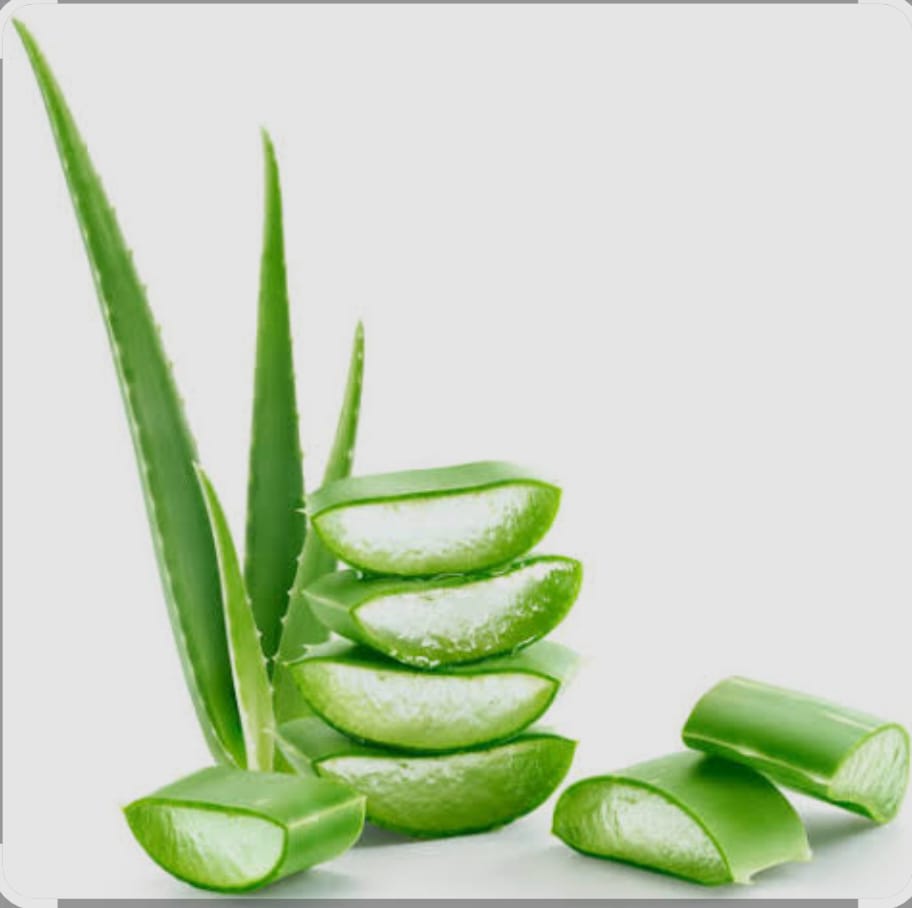 স্বাস্থ্যর জন্য অ্যালোভেরার উপকারিতা
