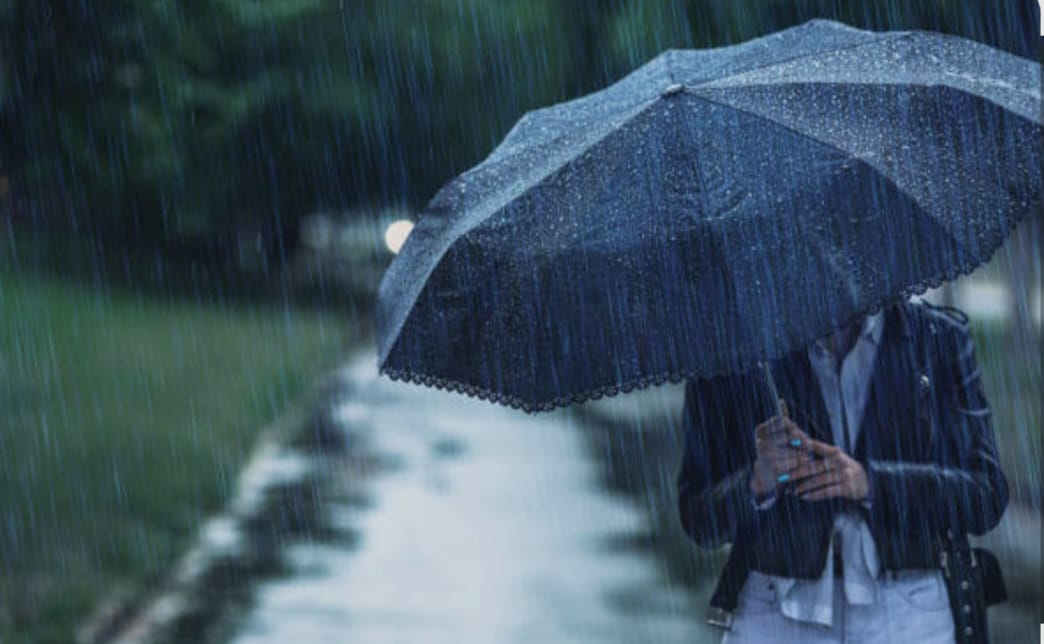 বর্ষার নানাবিধ মরশুমি সমস্যা ও সতর্কতা।